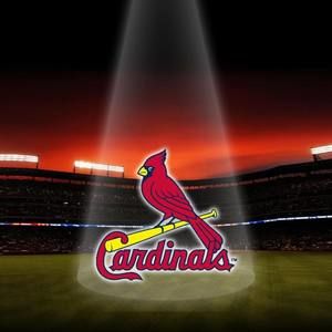 Meet your Posher, Kenneth